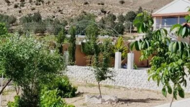 باغ شهری