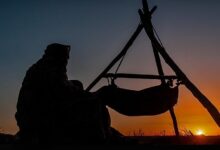 میخواهند خیلی زود کلک سازمان امور عشایر را بکنند 4 عشایر