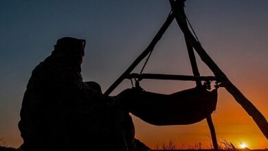 میخواهند خیلی زود کلک سازمان امور عشایر را بکنند 7 عشایر