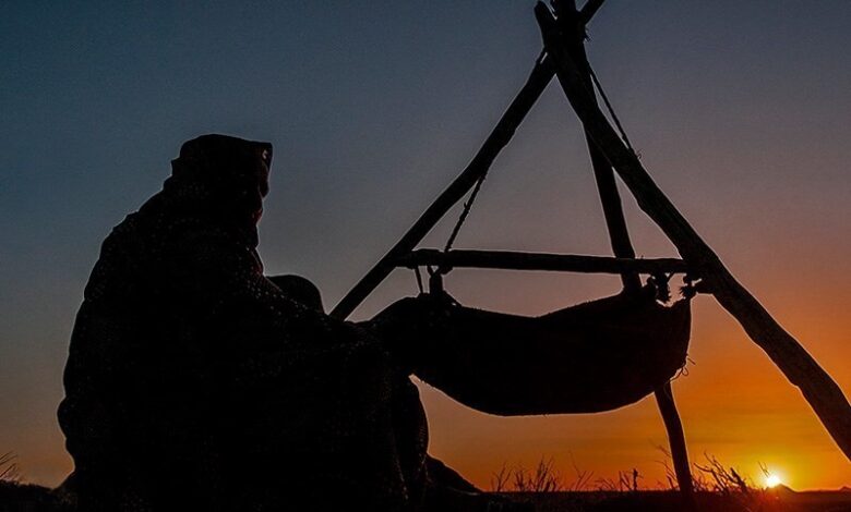 میخواهند خیلی زود کلک سازمان امور عشایر را بکنند 1 عشایر