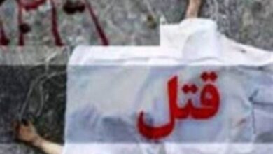 قتل برادر جوان با سنگ توسط قاتل 28 ساله در شهرستان رستم 2 قتل رستم