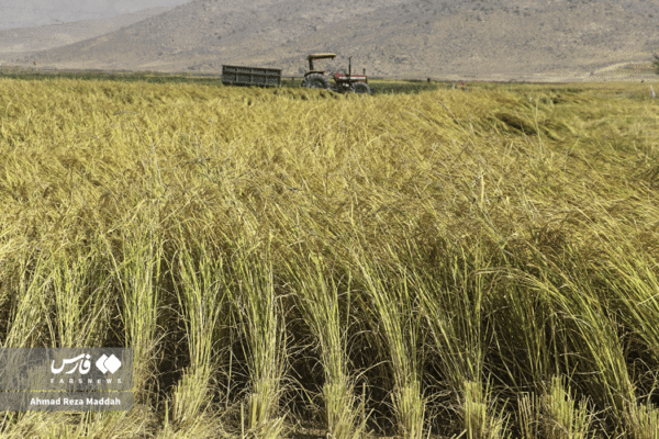 مزارع رامجرد و درودزن 1