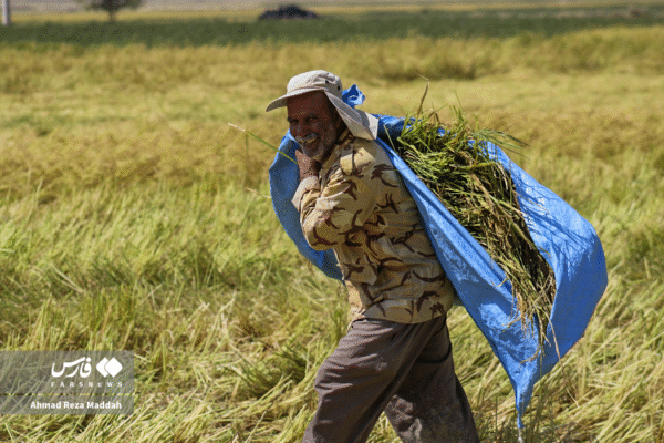 مزارع رامجرد و درودزن 11