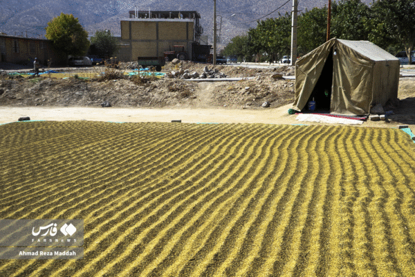 مزارع رامجرد و درودزن 2