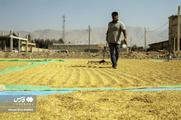 مزارع رامجرد و درودزن 4