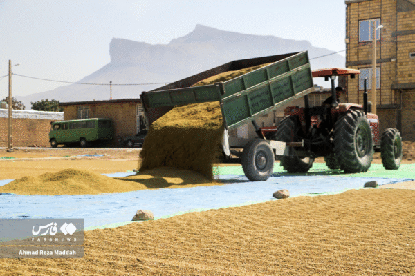 مزارع رامجرد و درودزن 5