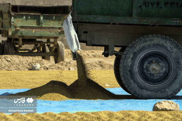 مزارع رامجرد و درودزن 6