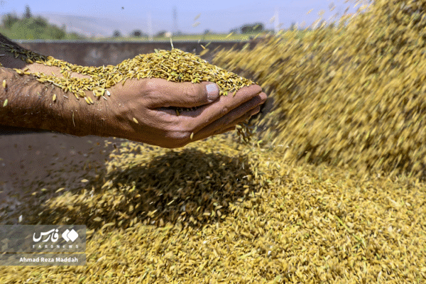 مزارع رامجرد و درودزن 7