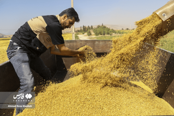 مزارع رامجرد و درودزن 8