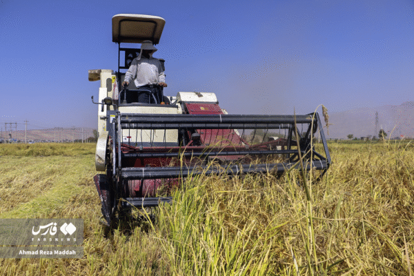 مزارع رامجرد و درودزن 9