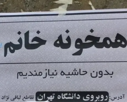 همخانگی