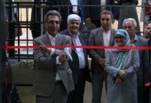 پروفسور مهبودی
