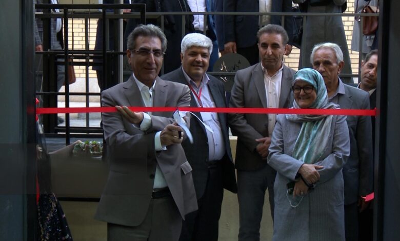 پروفسور مهبودی