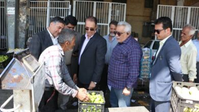 کشتارگاهتعیرات 2