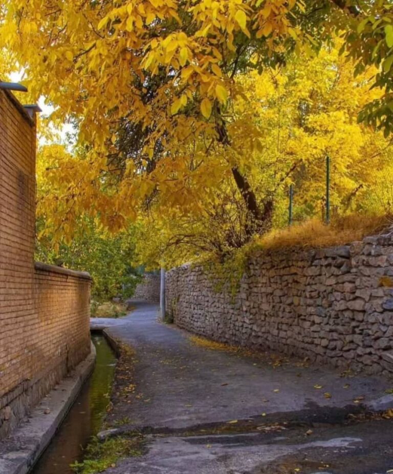 تصاویری از جشنواره انار فاروق-آبان ماه ۱۴۰۴