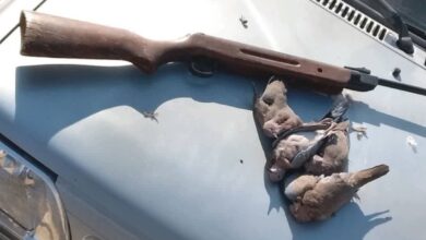 photo 2025 11 29 08 11 05