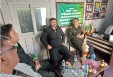 photo 2025 11 29 17 30 02 Copy