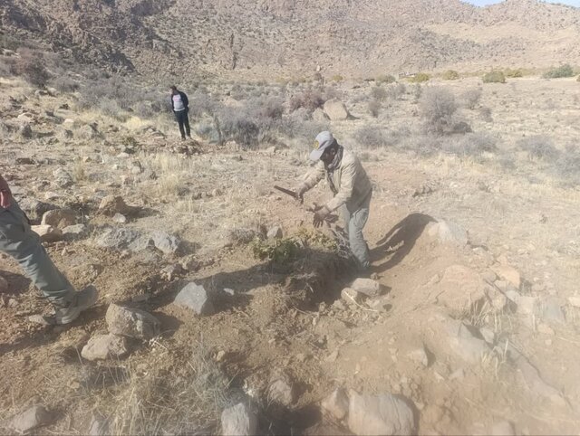 قلع و قمع تمامی نهال‌های کاشته‌شده در بخشی از اراضی ملی استهبان