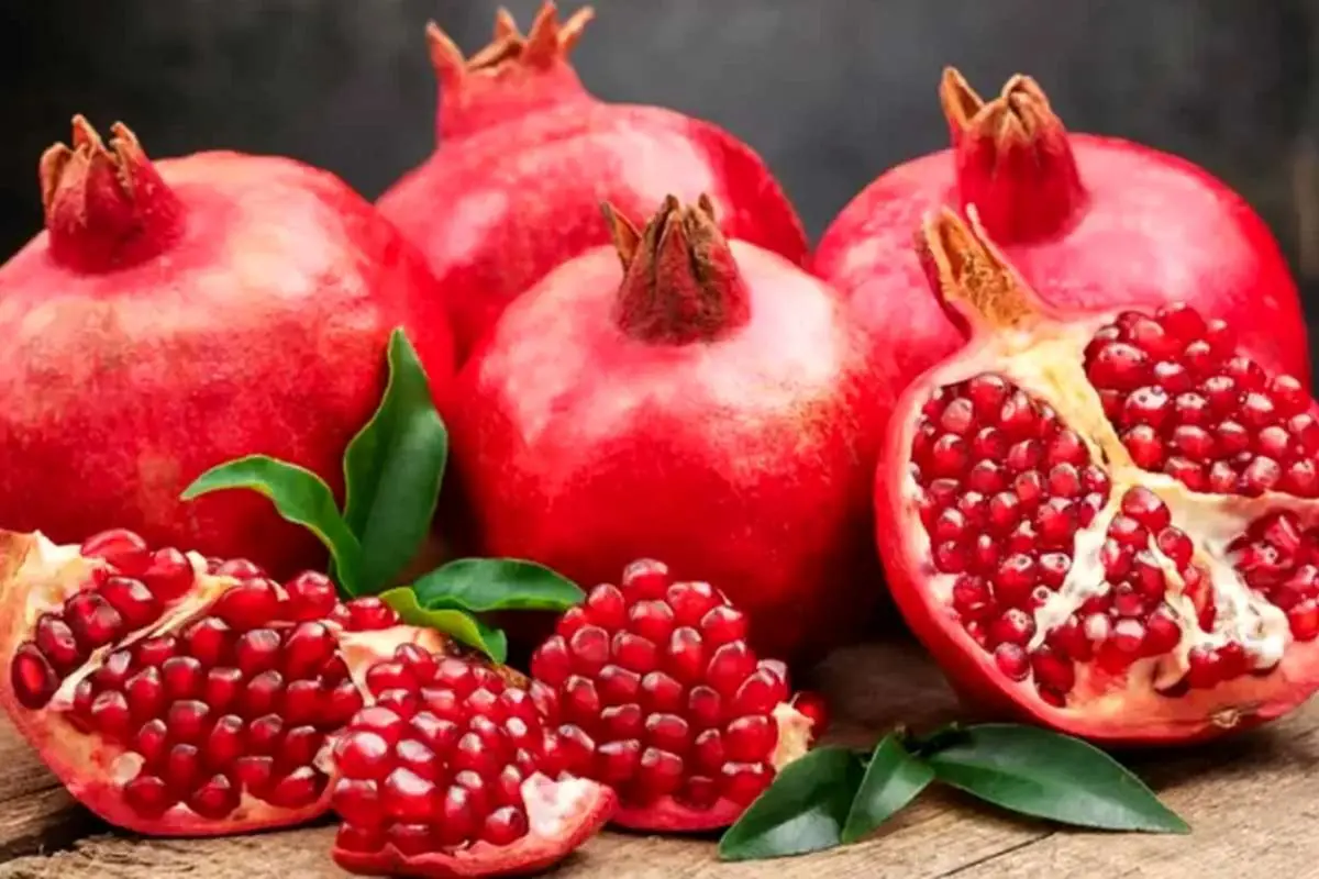 کشف کلید مبارزه با پیری ، فقط در ۲۸ روز جوان‌تان می‌کند