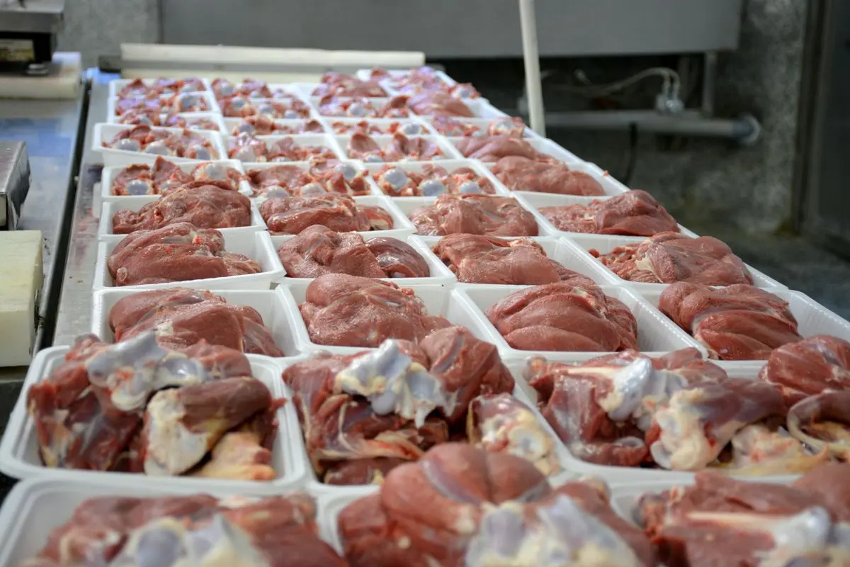 نرخ انواع آلایش گوساله و گوسفندی بسته‌بندی شرکتی اعلام شد