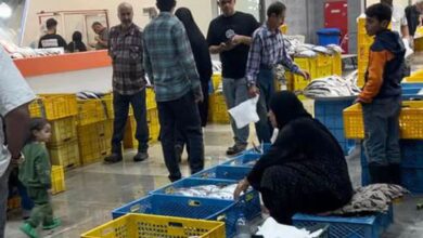 بازار پروتئین