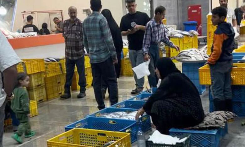 بازار پروتئین