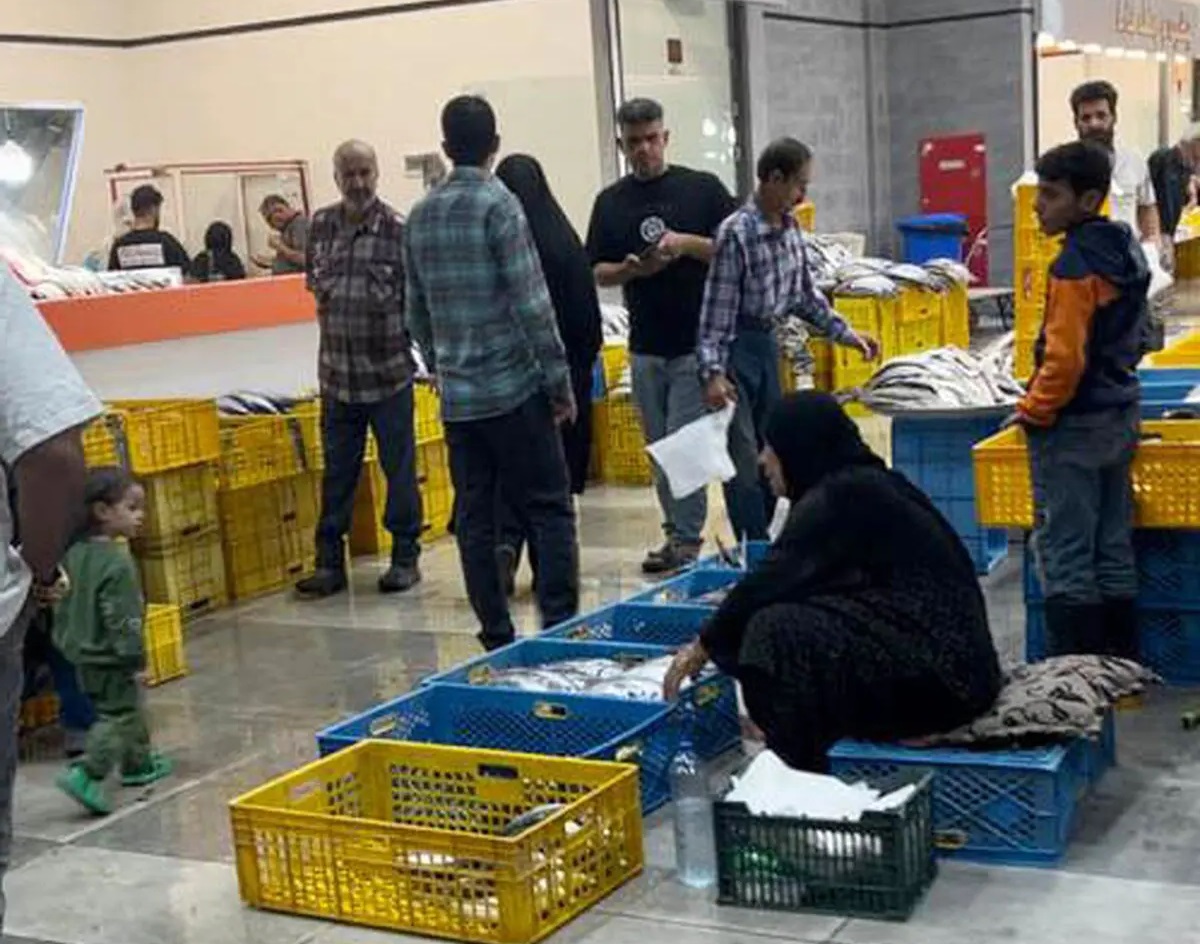 بوی پاساژ «بازار پروتئین شهرداری» صدای شهروندان شیراز را درآورد