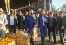 بازدید جهادتعزیرات 1