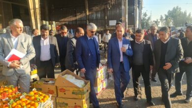 بازدید جهادتعزیرات 1