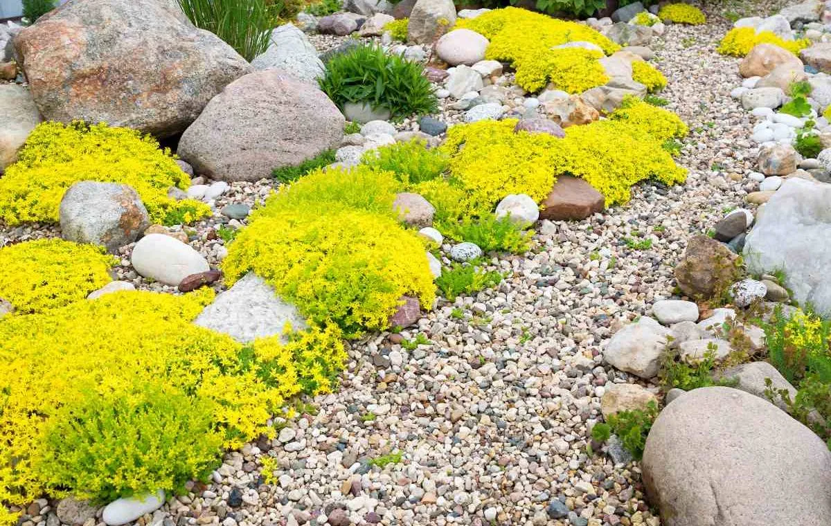 چگونه یک باغچه سنگی زیبا و ارزان بسازیم؟