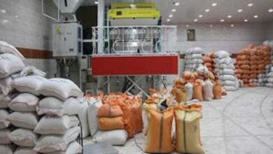 کشاورزان و دامداران موجودی و معامله محصولات خود را در سامانه جامع انبارها ثبت کنند 4 برنج