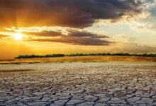 خشکسالی