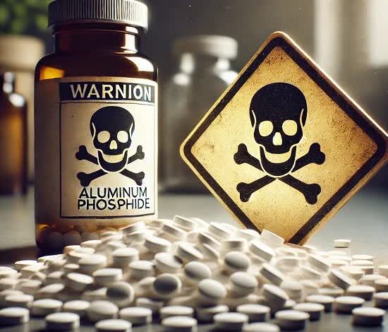 خطر قرص برنج جدی است؛ عضو هیأت علمی علوم پزشکی شیراز: این سم کشنده پادزهر ندارد 1 رص برنج