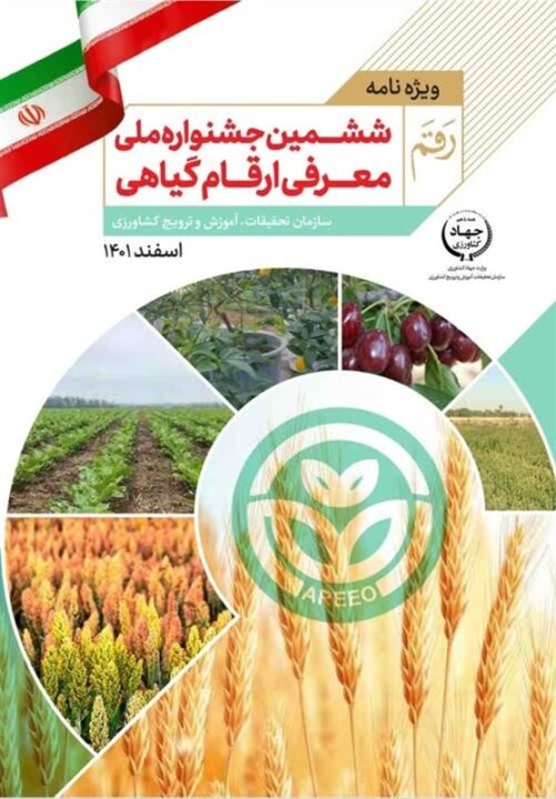 رونماییبرنج 1