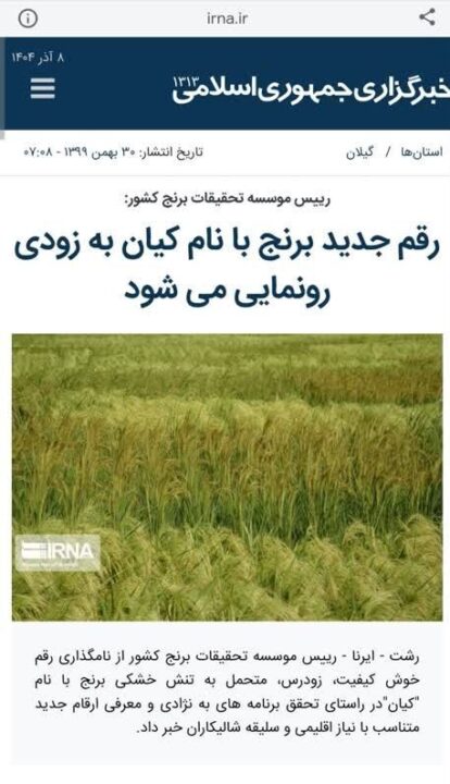 رونماییبرنج 2