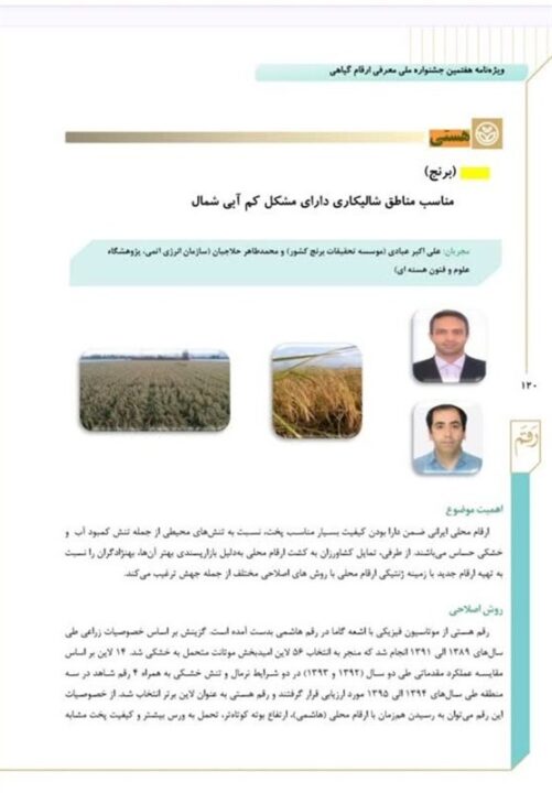 رونماییبرنج 6