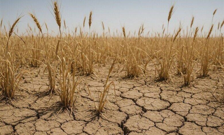 سارت خشکسالی