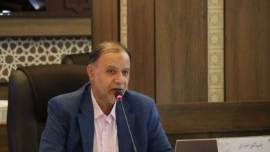 مسعود زارعی، رئیس کمیسیون سلامت، محیط زیست و خدمات شهری شورای اسلامی شهر شیراز