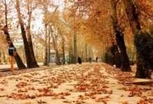 هواشناسی استان فارس: تا ۱۰ روز آینده از بارندگی خبری نیست 9 هوای سرد پاییزی