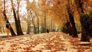 هوای سرد پاییزی