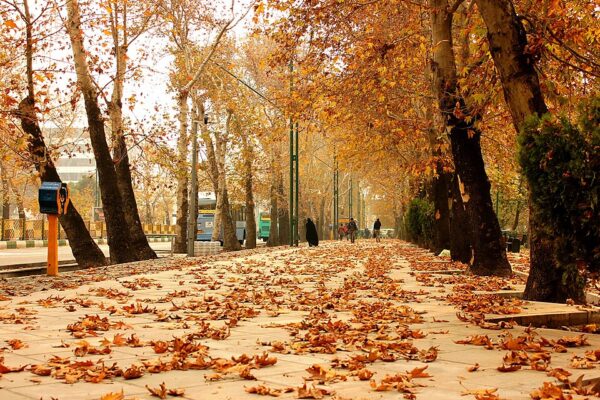 هواشناسی استان فارس: تا ۱۰ روز آینده از بارندگی خبری نیست 1 هوای سرد پاییزی