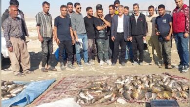 طرح صید آزمایشی آبزیان در سد سلمان فارسی قیروکارزین اجرا شد