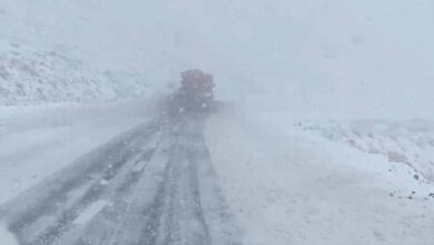 آغاز نخستین بارش برف در ارتفاعات شهرستان سپیدان/ ستاد بحران آمادهباش شد 2 9351ba73 4afe 41d8 a1f6 933b0c4977f8