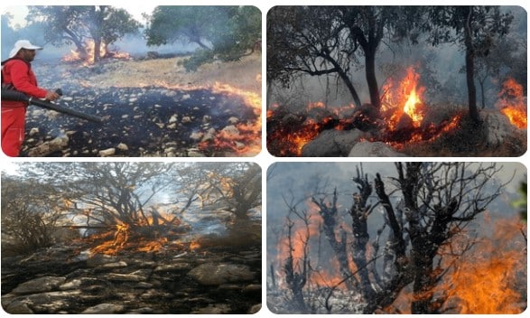 Screenshot 2025 12 02 222317