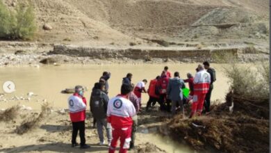 کشف پیکر ۲ آفرودسوار در رودخانه فصلی اطراف شهر لار