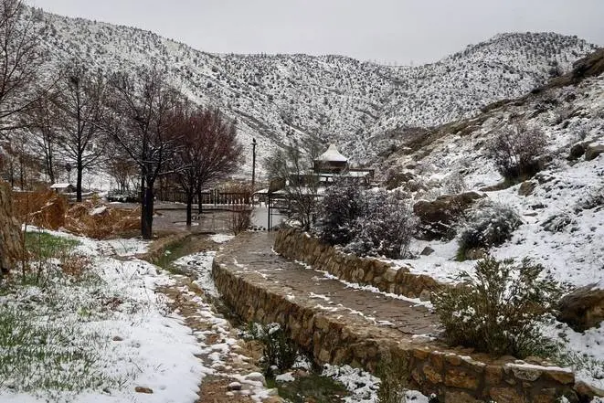 ببینید|بارش برف در پارک کوهستانی دراک شیراز