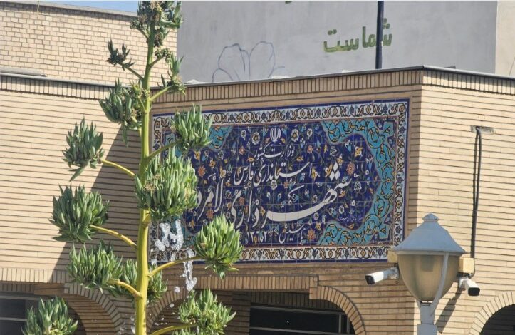 شهرداری لامرد: برق کپرهای بلوار مطهری باید قطع شود 1 aivnhvd ghlvn