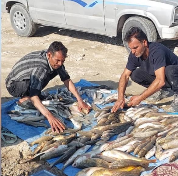 طرح صید آزمایشی آبزیان در سد سلمان فارسی قیروکارزین