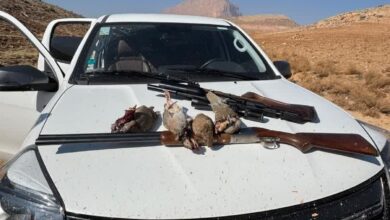 دستگیری شکارچیان غیرمجاز در منطقه حفاظت‌شده کوه قلات و تنگ سرخ