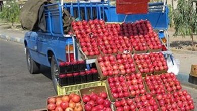 آغاز تحقیقات برای دستگیری مرد انار فروش فراری در پی فاجعه‌ مرگبار